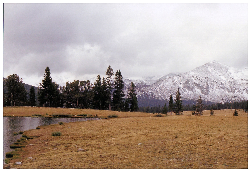 07 - Yosemite NP (9).jpg